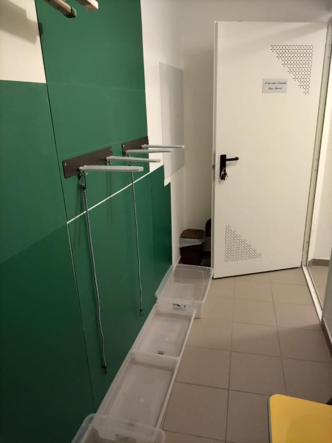 Perla Delle Dolomiti Apartment Andalo Bagian luar foto
